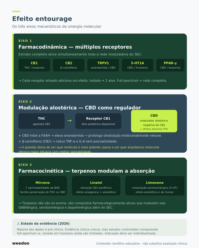 Diagrama científico dos três eixos mecanísticos do efeito entourage: farmacodinâmica com múltiplos receptores, modulação alostérica do CBD sobre CB1 e farmacocinética com terpenos modulando a absorção dos canabinoides.